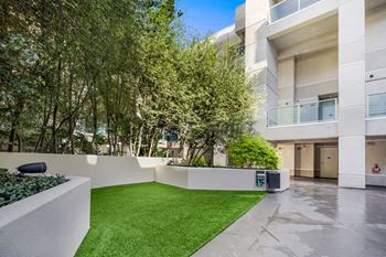 A modern courtyard with a green lawn and trees.